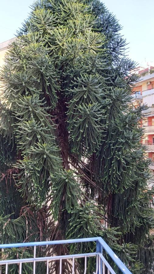 La Casa Del Cedro Apartment Наполи Екстериор снимка